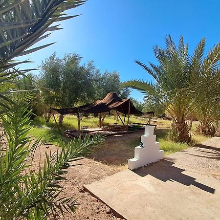 jardin du desert M'Hamid El Ghizlane Extérieur photo