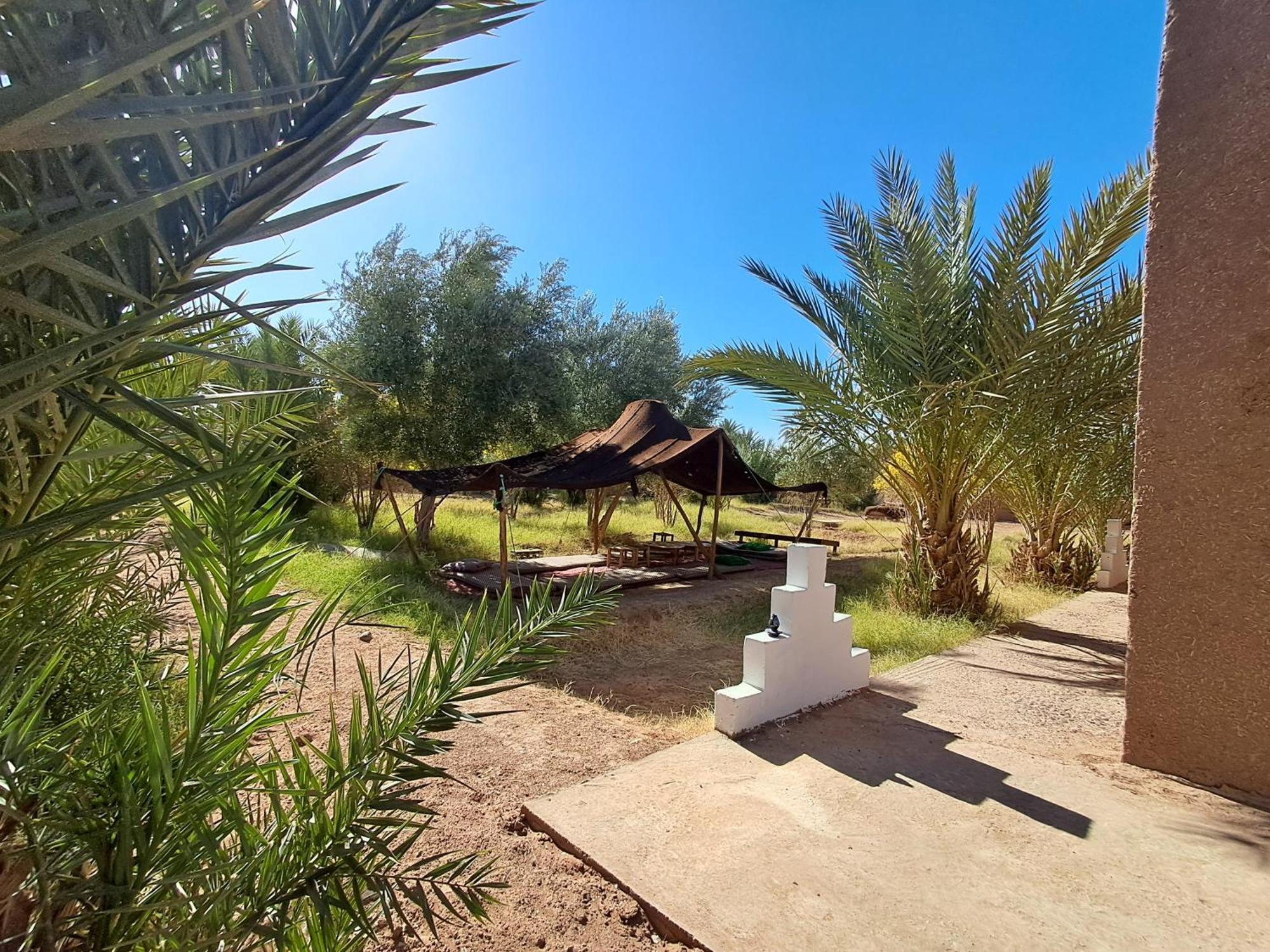 jardin du desert M'Hamid El Ghizlane Extérieur photo