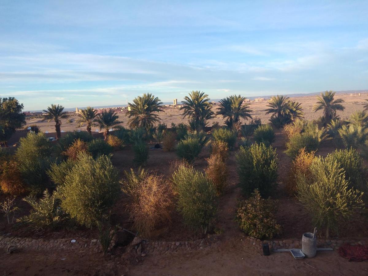 jardin du desert M'Hamid El Ghizlane Extérieur photo